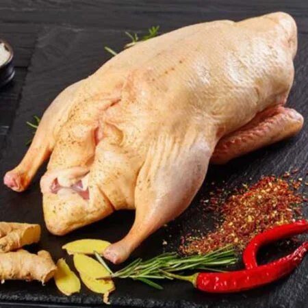 Fresh Duck