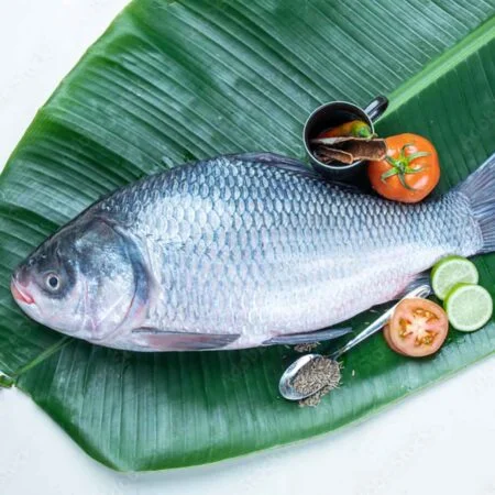 Local Bhokua/Bahu/Catla/Katla Fish - Small (Whole, With Head - Cut Pieces, 1.5 to 1.9 Kg size) (Per Kg)