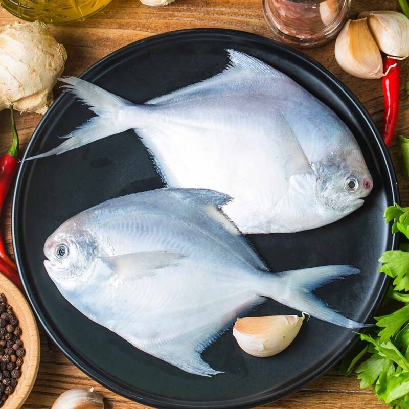 Buy Pomfret Fish Online in Guwahati, Buy Pamphlet Fish Online in Guwahati