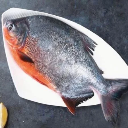 Rupchanda/Roopchand/River Pomfret Fish (Whole, With Head)