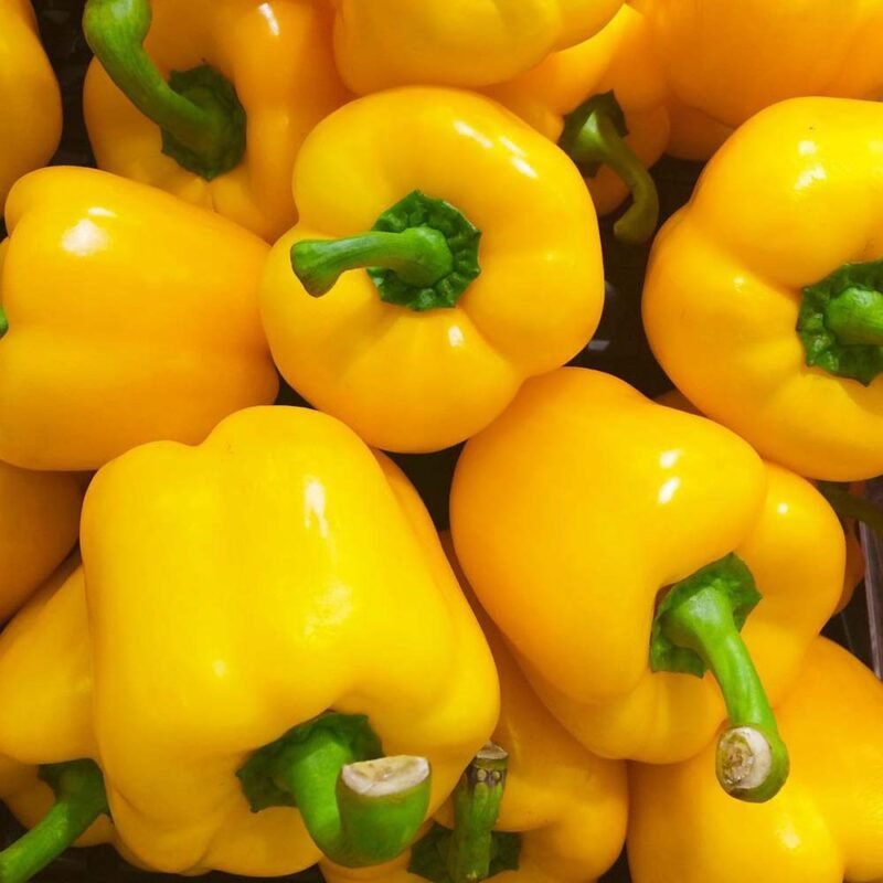 Yellow Bell Pepper in Guwahati