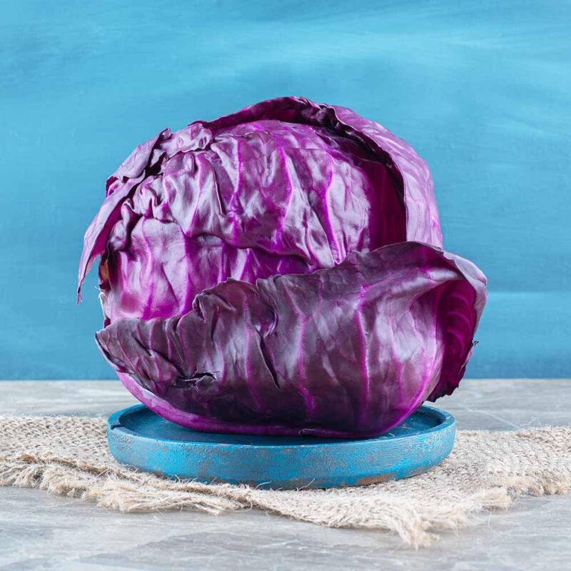 red purple cabbage in Guwahati