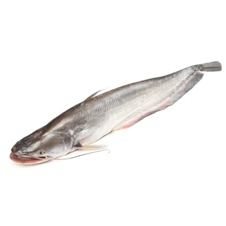 Borali Fish Online