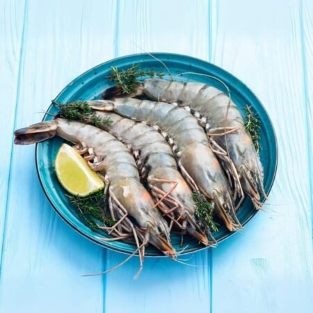 River Prawn