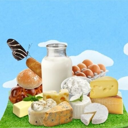 Dairy Products