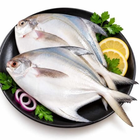 Fresh Pomfret/Pamphlet fish (7-10 Pieces Per Kg)